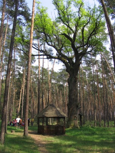 Cyklovýlet do Milotic - 8.5.2006